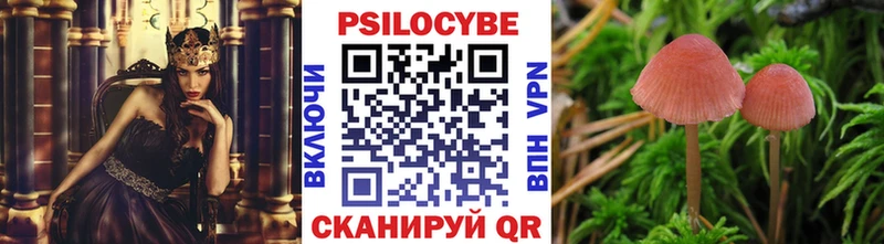 Псилоцибиновые грибы Psilocybe  купить   Котельниково 